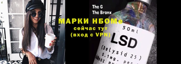 ешки Алексин