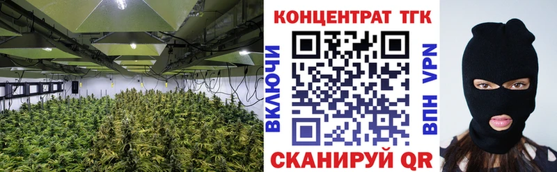 ссылка на мегу ТОР  Калининск  ТГК концентрат 